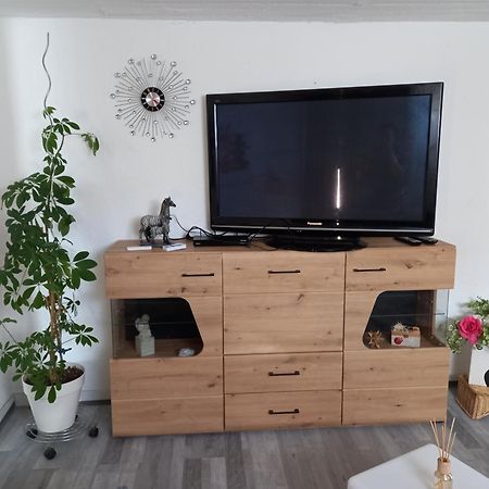 60 M² Ferienapartment Zentrumsnahe Mit Gartenbenutzung Steyr Exteriör bild