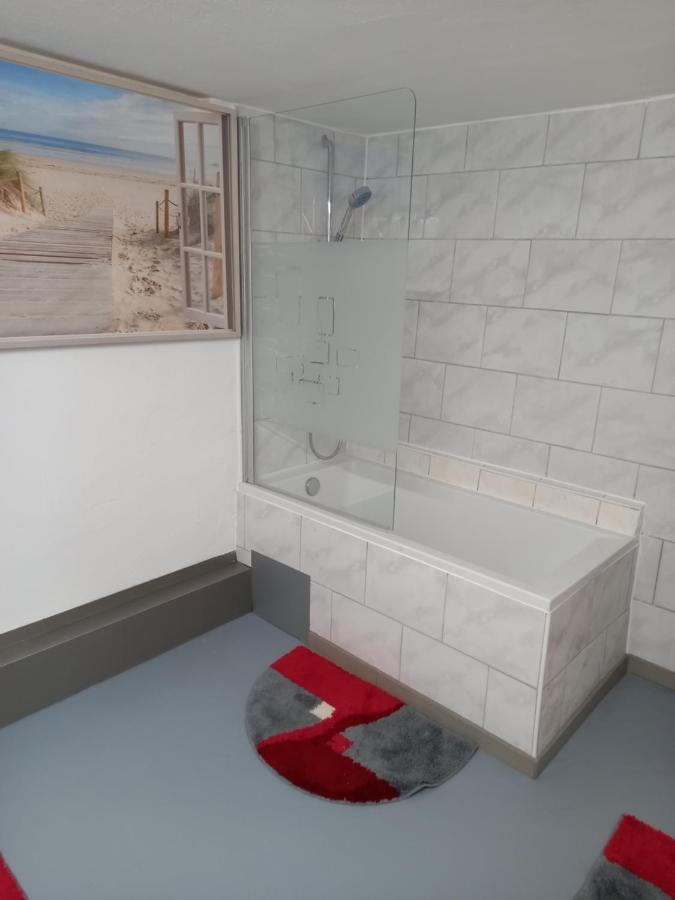 60 M² Ferienapartment Zentrumsnahe Mit Gartenbenutzung Steyr Exteriör bild