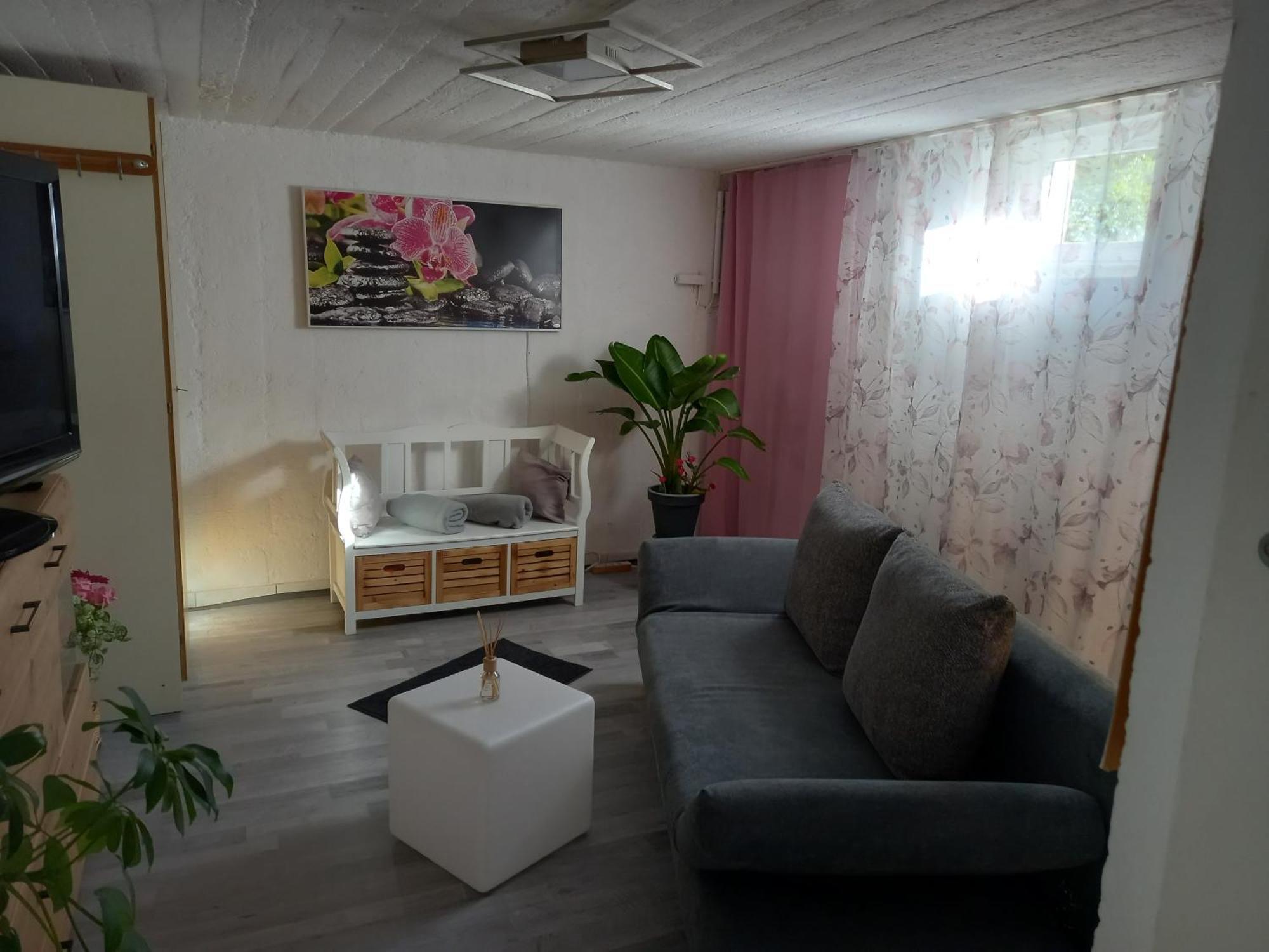 60 M² Ferienapartment Zentrumsnahe Mit Gartenbenutzung Steyr Exteriör bild