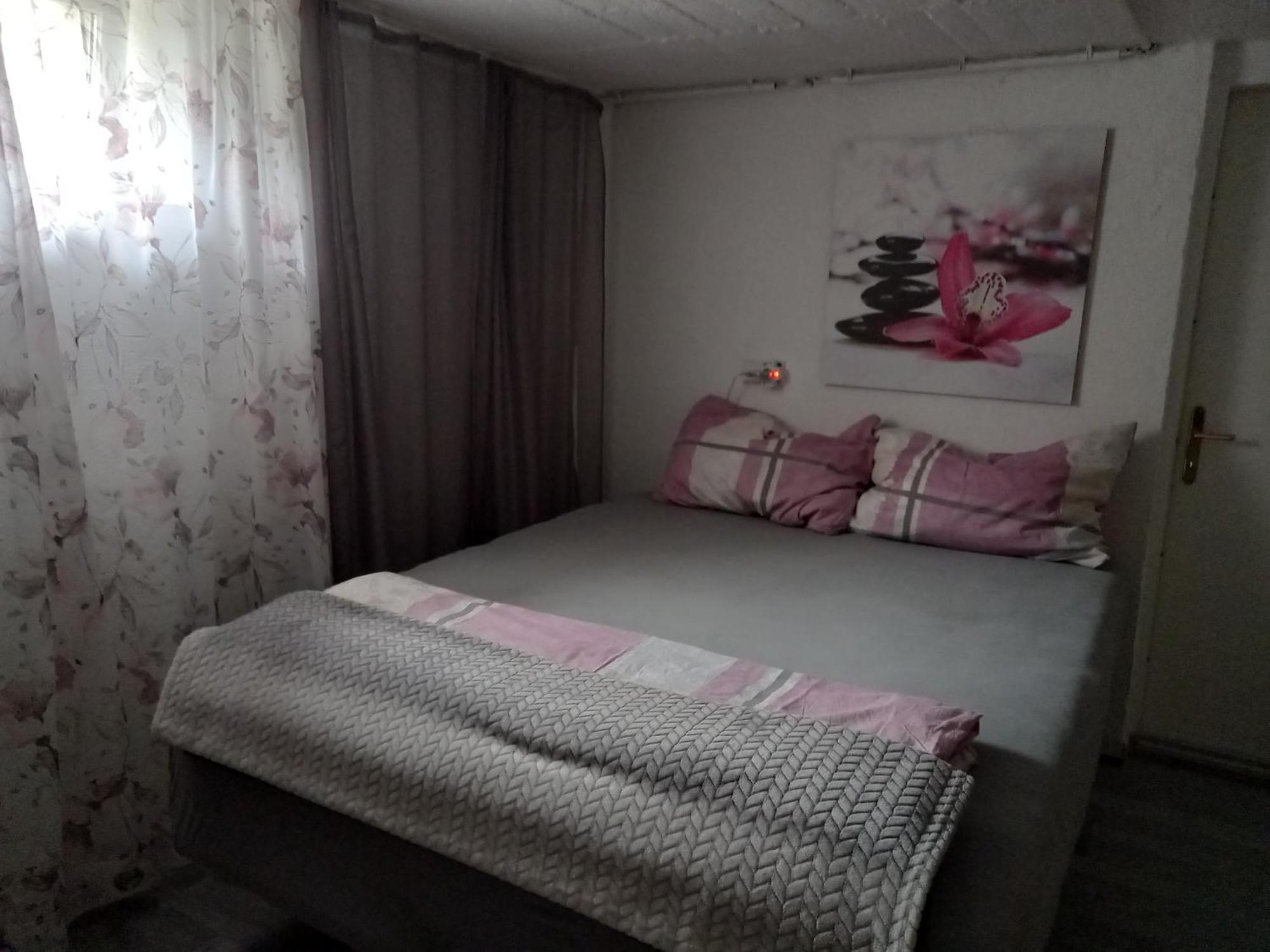60 M² Ferienapartment Zentrumsnahe Mit Gartenbenutzung Steyr Exteriör bild